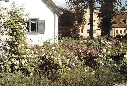 Sweden Rosengarden kulturen Lund