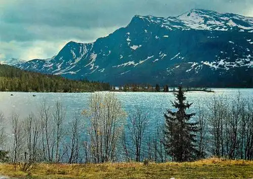 Sweden Borkafjallet Lappland