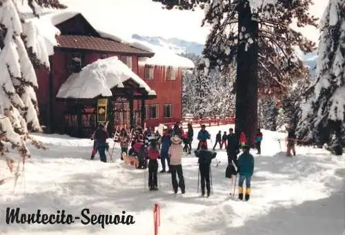 United States California Montecito Sequoia winter scene