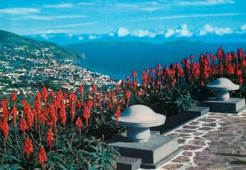 Portugal > Madeira Funchal the Pico dos Barcelos