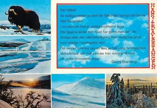 Sweden Norrland mountain and fauna