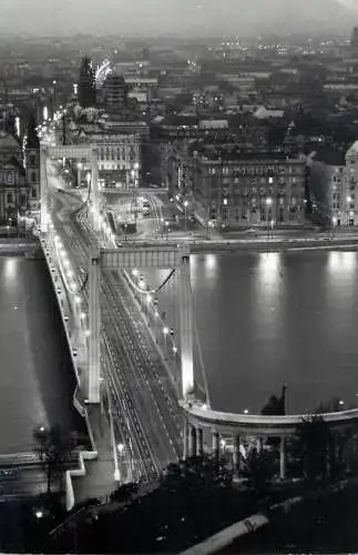 Hungary Budapest Elisabeth Bridge evening panoramic view