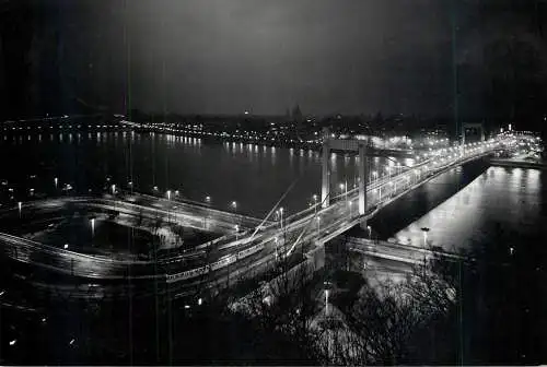 Hungary Budapest Elisabethbrucke night view panorama