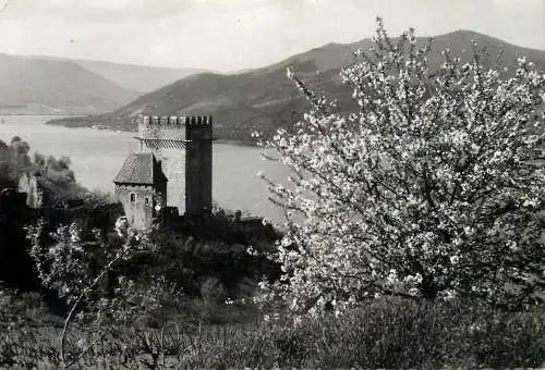 Hungary Visegrad Salomon Tower