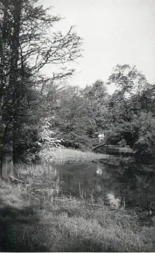 Allemagne foto city1965 Saxony nature scene