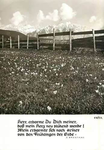 Flower field & mountain view panorama picturesque scenery place to identify