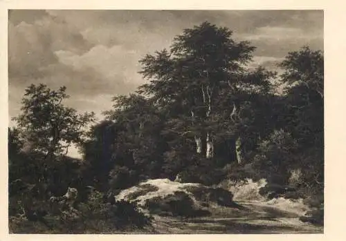 Fine art painting postcard Jacob Ruisdael Les s Potokem v Popredi