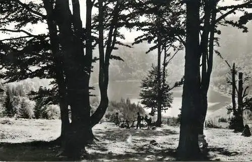 Romania Tusnad Lacul Sfanta Ana