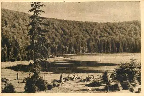 Romania Tusnad Lacul Sfanta Ana