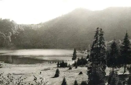 Romania Tusnad Lacul Sfanta Ana