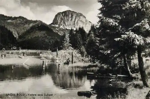 Romania Lacul Rosu Suhardul Mic