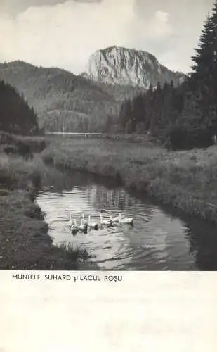 Romania Lacul Rosu Suhardul Mic
