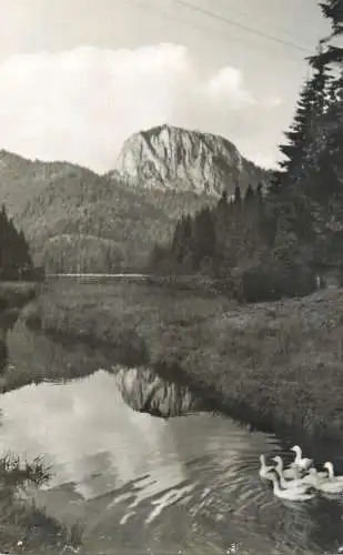 Romania Lacul Rosu Suhardul Mic
