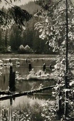 Romania Lacul Rosu