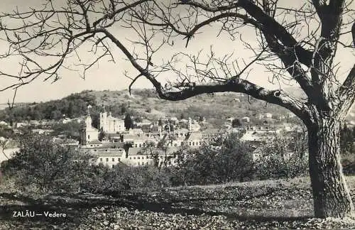 Romania Zalau panorama