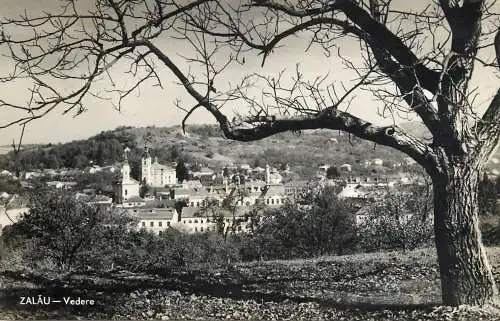 Romania Zalau panorama