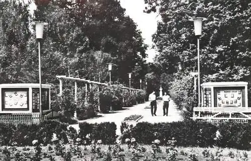 Romania Buzias parc