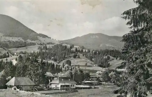 Romania Colibita