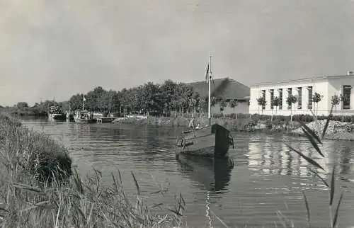 Romania Delta Dunarii canalul Sf. Gheorghe timbru fluture