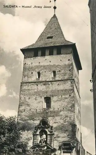 Romania Salonta muzeul Arany Janos