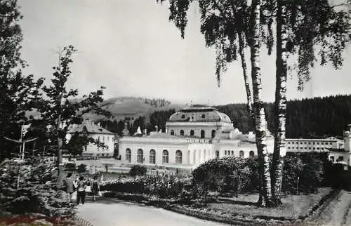 Romania Vatra Dornei pavilionul central