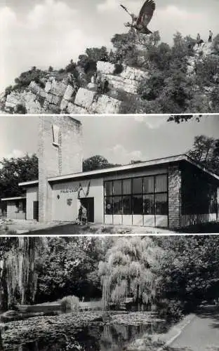 Hungary Tatabanyai kepek