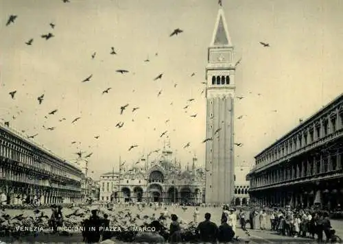 Italy Venezia piccioni in Piazza S Marco