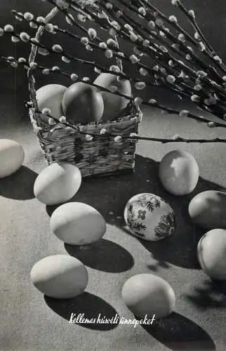Easter greetings painted eggs & willow branches