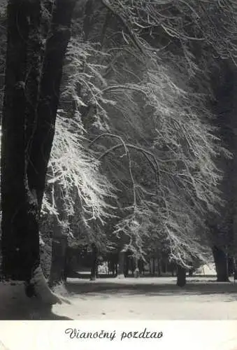 Christmas greetings winter scenery