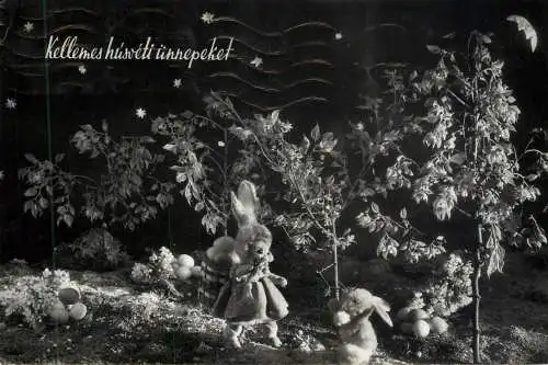 Easter greetings rabbit types and scenes