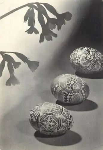Easter greetings decorated pencilled eggs picture