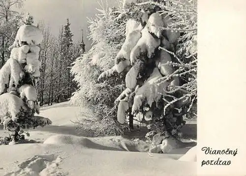 Christmas greetings forest winter scenery