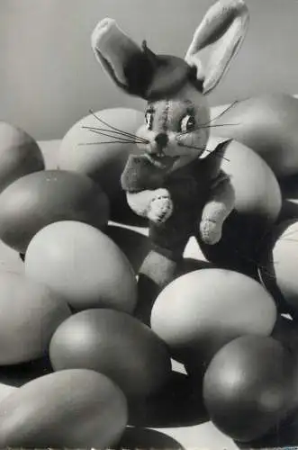 Easter greetings eggs & toy rabbit