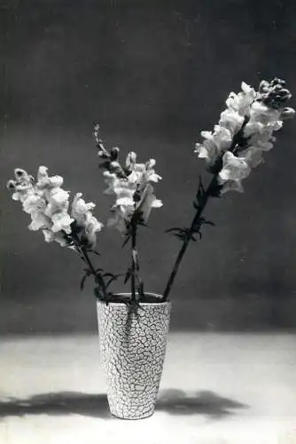 Vase floral arrangement postcard
