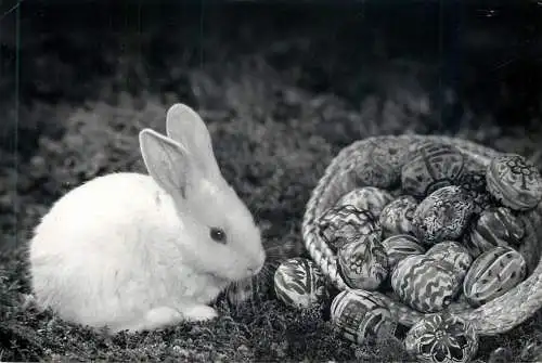 Easter greetings pencilled eggs & rabbit