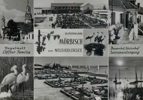Austria Burgenland Mörbisch am Neusiedlersee multi view