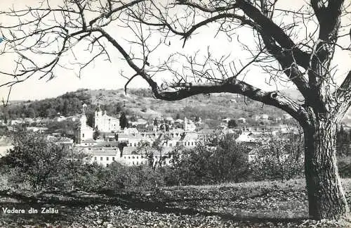 Romania Zalau panorama