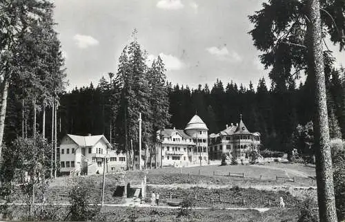 Romania Borsec vile din statiune 1964