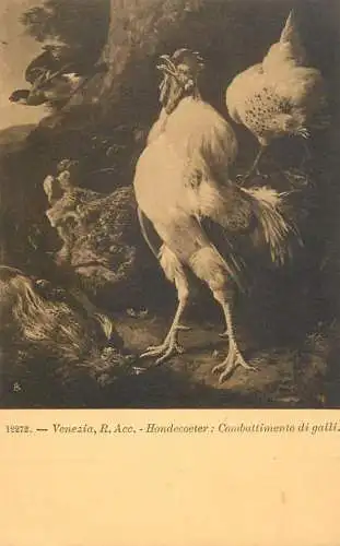 Venezia fine art postcard R. Accademia Hondecoeter combattimento di galli