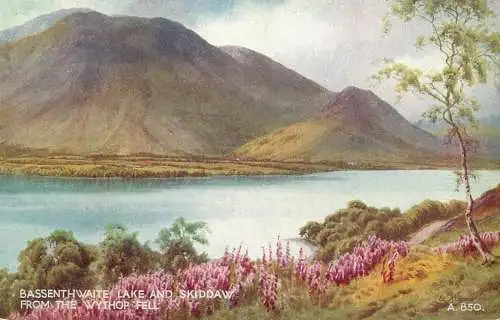 United Kingdom England Cumbris Skiddaw Wythop Fell