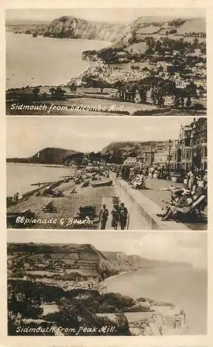 United Kingdom England Sidmouth from Salcombe Hill