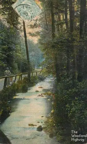 United Kingdom England the Woodland highway