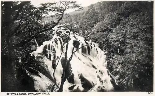 United Kingdom Wales Betws-y-Coed Swallow falls
