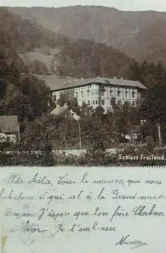 Foto-AK Austria Freilandcastle , AK Austria Freilandcastle , Schloss Freiland