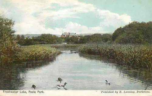 United Kingdom England Freshwater lake Poole Park
