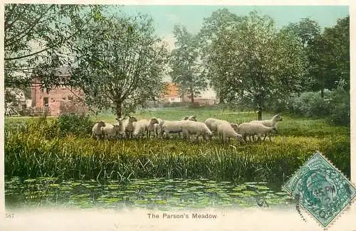 United Kingdom England the Parson's meadow