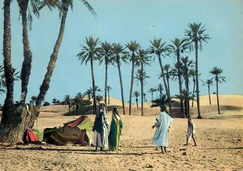 Algeria Sud Algerien - dans la palmeraie