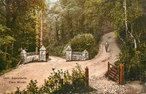 United Kingdom Wales Aberystwyth cwm woods