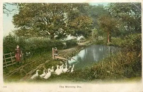 United Kingdom England Ventnor cascade