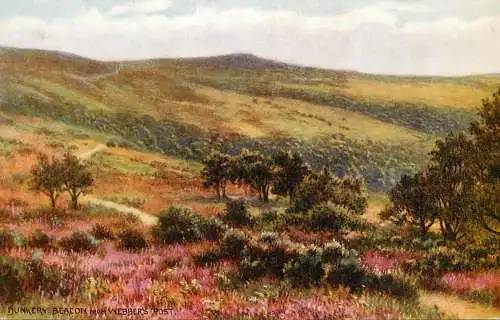 United Kingdom England Exmoor Dunkery beacon